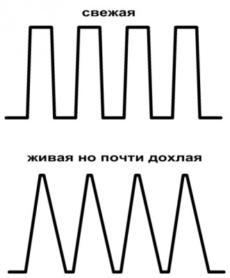 .JPG