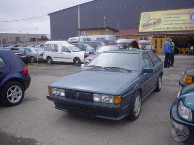 Шкварка.jpg