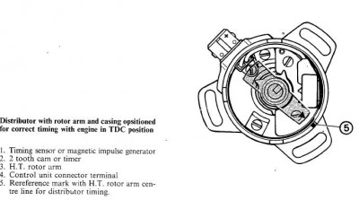 distributor timing.JPG