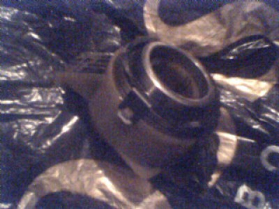 IMG0107A.jpg