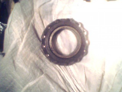 IMG0115A.jpg