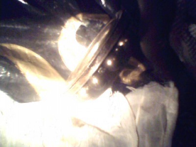 IMG0116A.jpg