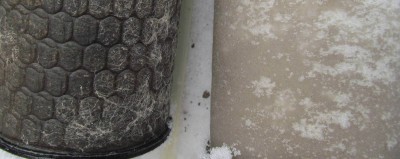 IMG_2798.JPG