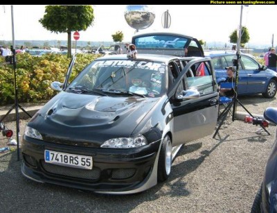 pics-max-4734-322182-fiat-punto.jpg