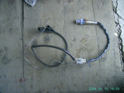 PICT3.jpg