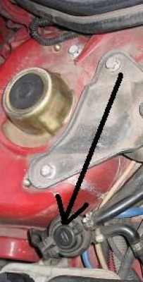 t_40733818_905.jpg